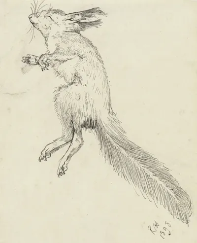 Dode Eekhoorn