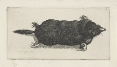 Dode Mol