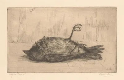 Dode Vogel