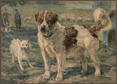 Dog 10