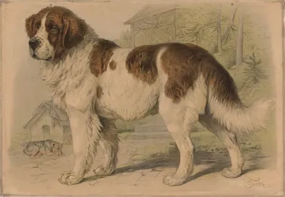 Dog 14