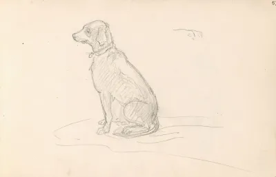 Dog 3