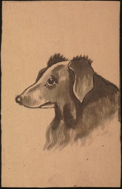 Dog 5