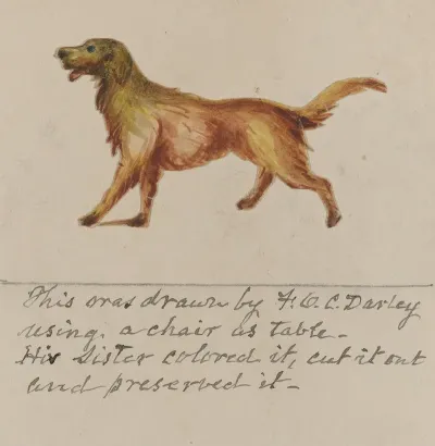 Dog 6