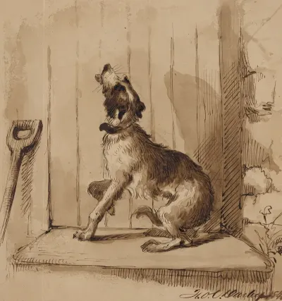 Dog Barking In Front Of Closed Door