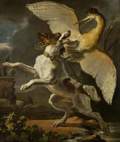 Dog Fighting A Heron