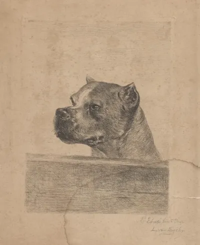 Dog Head