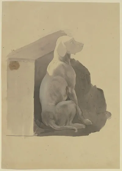 Dog In Front Of Its Hut