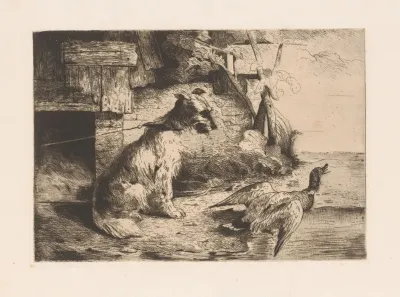 Dog On A Chain And A Duck