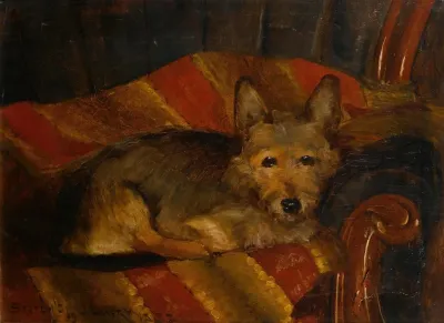 Dog On A Chair