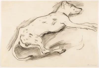 Dog With Black Spots