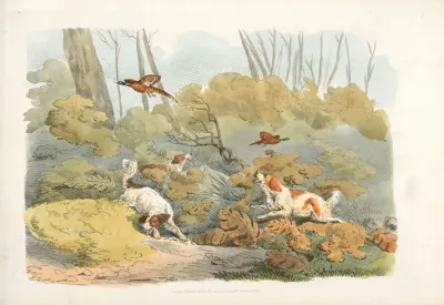 Dogs Chasing Pheasants