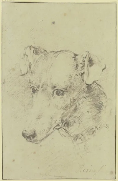 Dogs Head To The Left