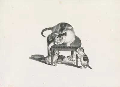 Domestic Cat On A Stool Playing With Three Kittens