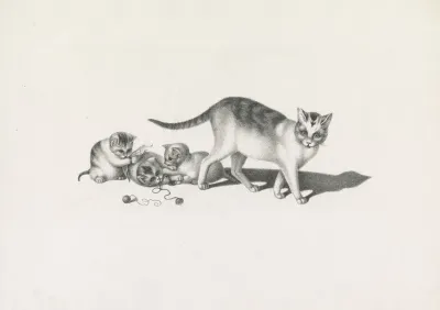 Domestic Cat With Three Kittens Playing