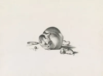 Domestic Cat With Three Newborn Kittens And A Saucer Of Food On The Left