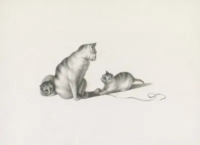 Domestic Cat With Two Kittens One Playing With A Ball Of String