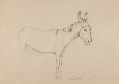 Donkey 3
