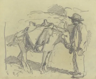 Donkey Driver