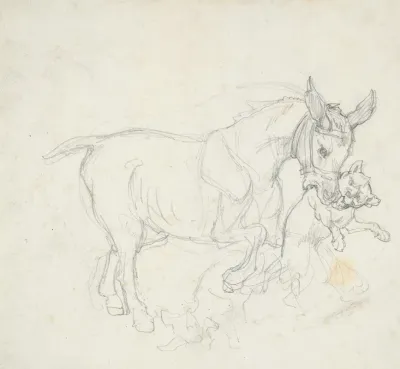 Donkey Holding Dog In Its Mouth