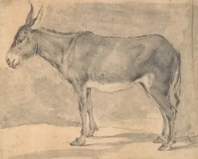 Donkey