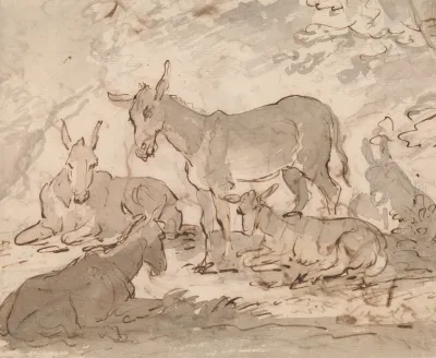 Donkeys 2