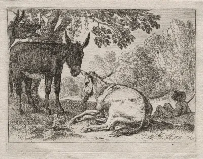 Donkeys 3