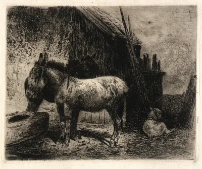 Donkeys And Sheep
