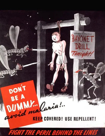 Dont Be A Dummy Avoid Malaria