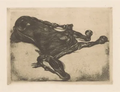 Dood Paard