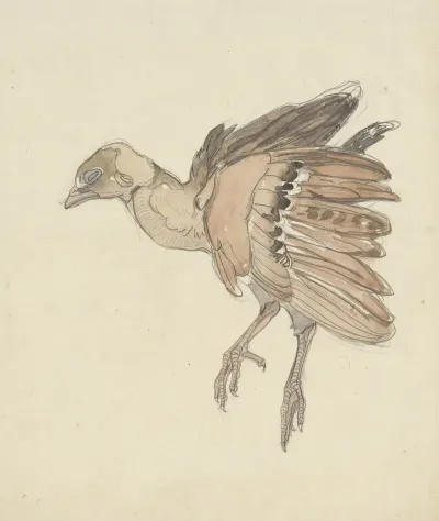 Dood Vogeltje 2