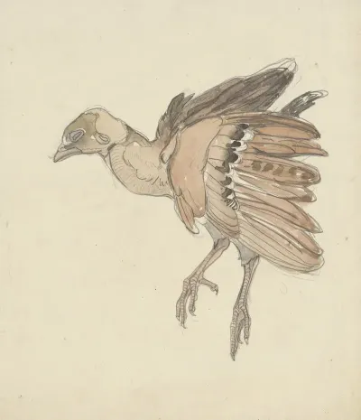 Dood Vogeltje 3