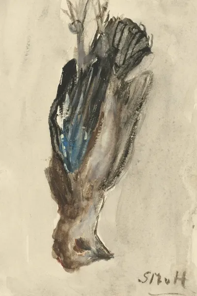 Dood Vogeltje Hangend Aan Zijn Poten