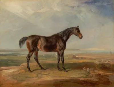 Dr Syntax A Bay Racehorse Standing In A Coastal Landscape An Estuary Beyond