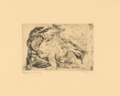 Draak 2