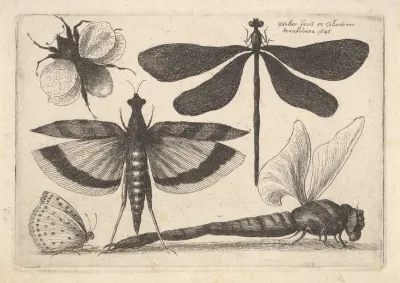 Dragonflies And A Bumble Bee