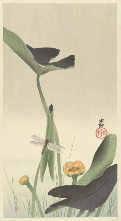 Dragonfly And Lotus