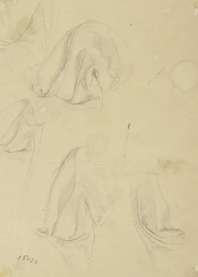 Drapery 2