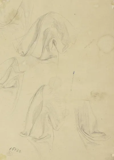 Drapery 3