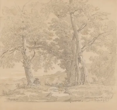 Draughtsman Among Trees By Lake Albano