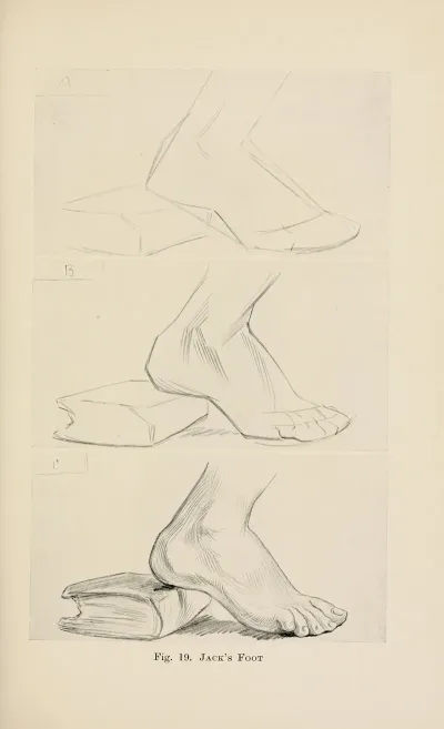 Drawing For Beginners Pl 08