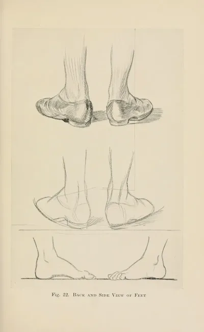 Drawing For Beginners Pl 10