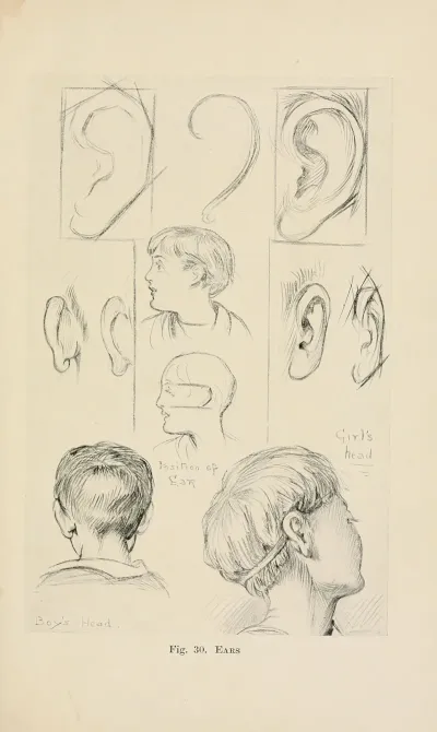 Drawing For Beginners Pl 12