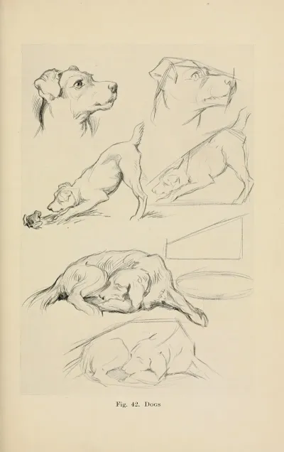 Drawing For Beginners Pl 20