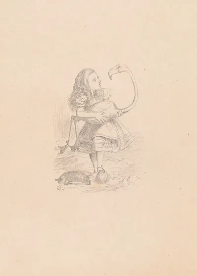 Drawing Of Alice Trying To Play Croquet With Flamingo And Hedgehog