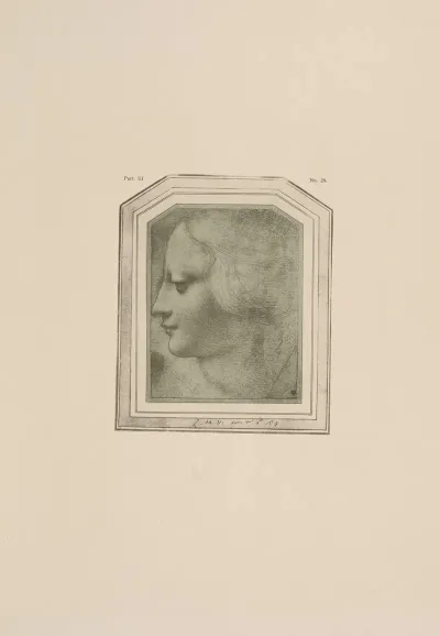 Drawing Of Female Head In Profile
