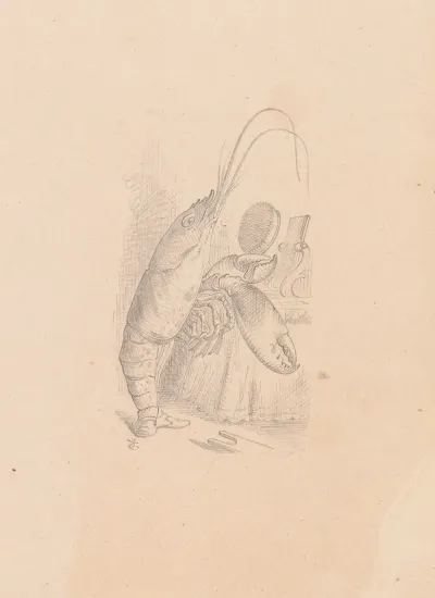 Drawing Of The Lobster Primping Before A Mirror
