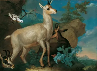Drei Gemsen Und Eine Amsel