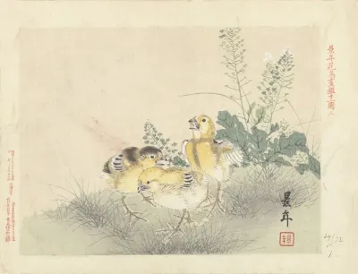 Drie Kuikens