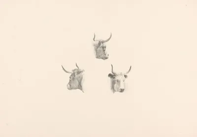 Drie Ossekoppen